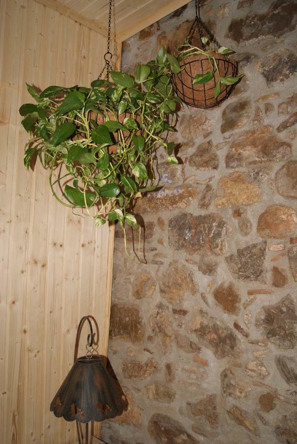 Apartament Codina 40 Apartment Torroella de Montgrí Екстериор снимка